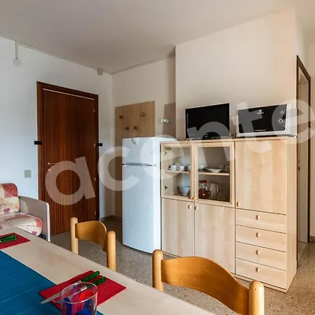Aurora B Daire
